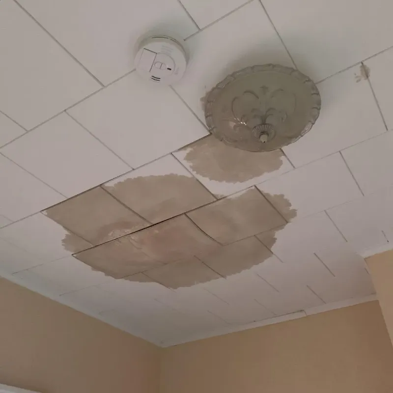 Ceiling Water Damage Repair in Grand Forks, ND
