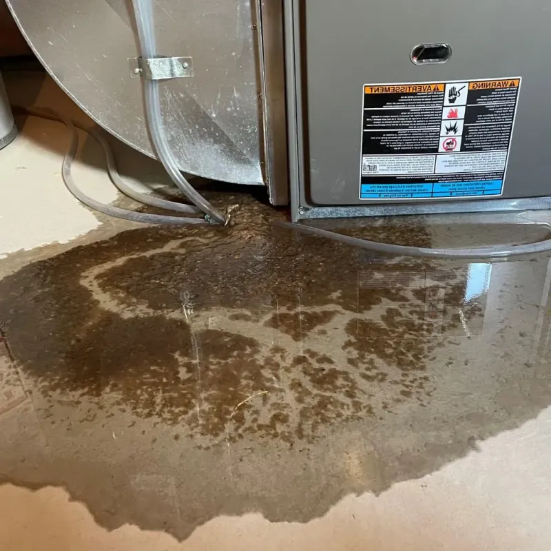 Pipe Burst and Leak Restoration in Grand Forks, ND
